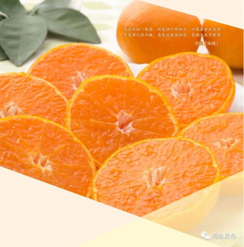 無標(biāo)題