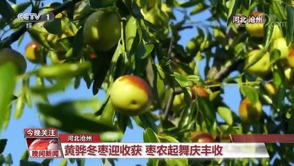 中國(guó)農(nóng)業(yè)強(qiáng)不強(qiáng)?村民富不富?答案就在這希望的田野上